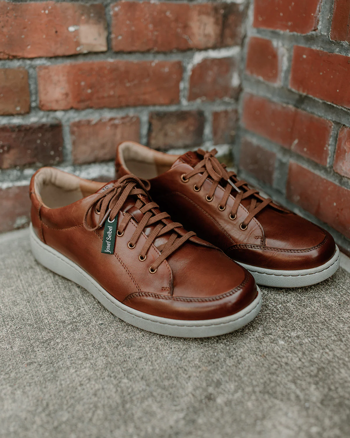 David 03 - Image 4