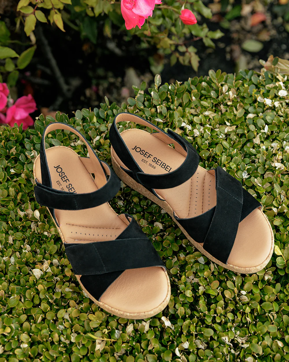 Evita 03 - Image 5