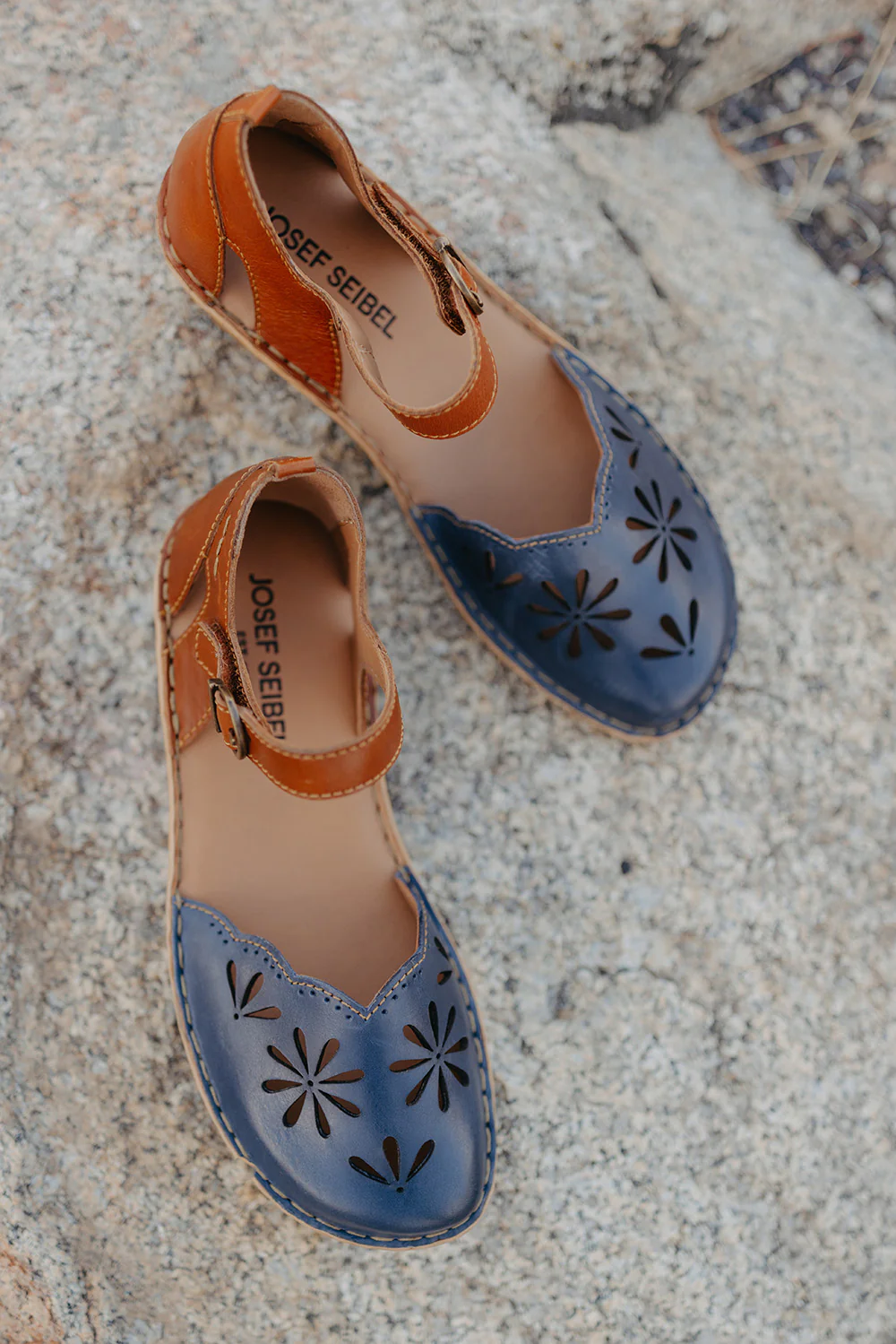 Rosalie 04 - Image 4